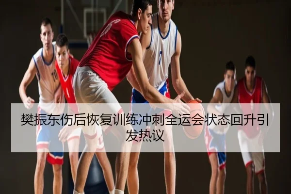 樊振东伤后恢复训练冲刺全运会状态回升引发热议